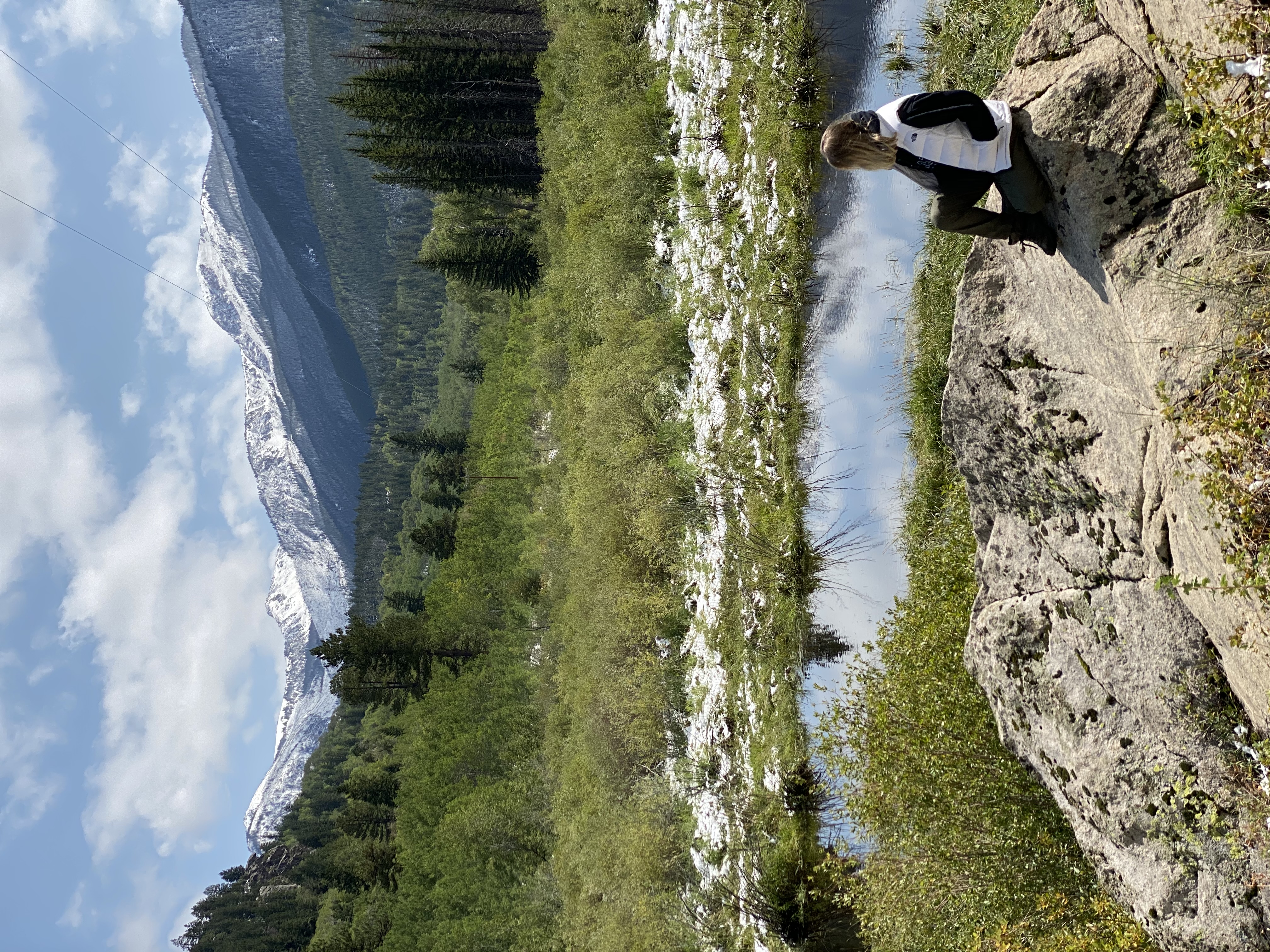 Rachel sitting on a rock looking at aspen mountains and green foliage